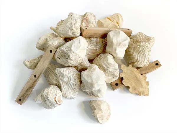 Affiche principale de l'événement : Nicolas Desverronnières - Natura strata