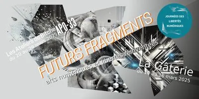 Journées des Libertés Numériques - Futurs Fragments