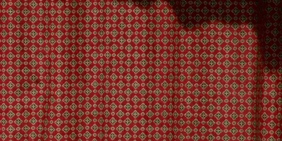 Thibault Jehanne - Contrejour